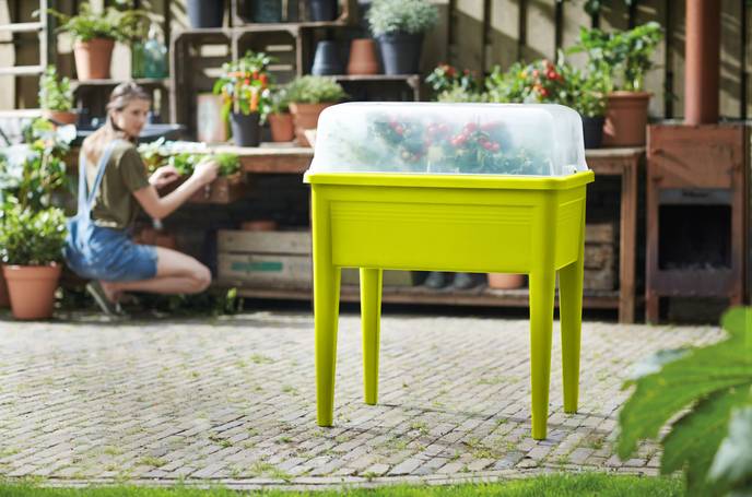 green basics anzucht tisch super xxl lime grün